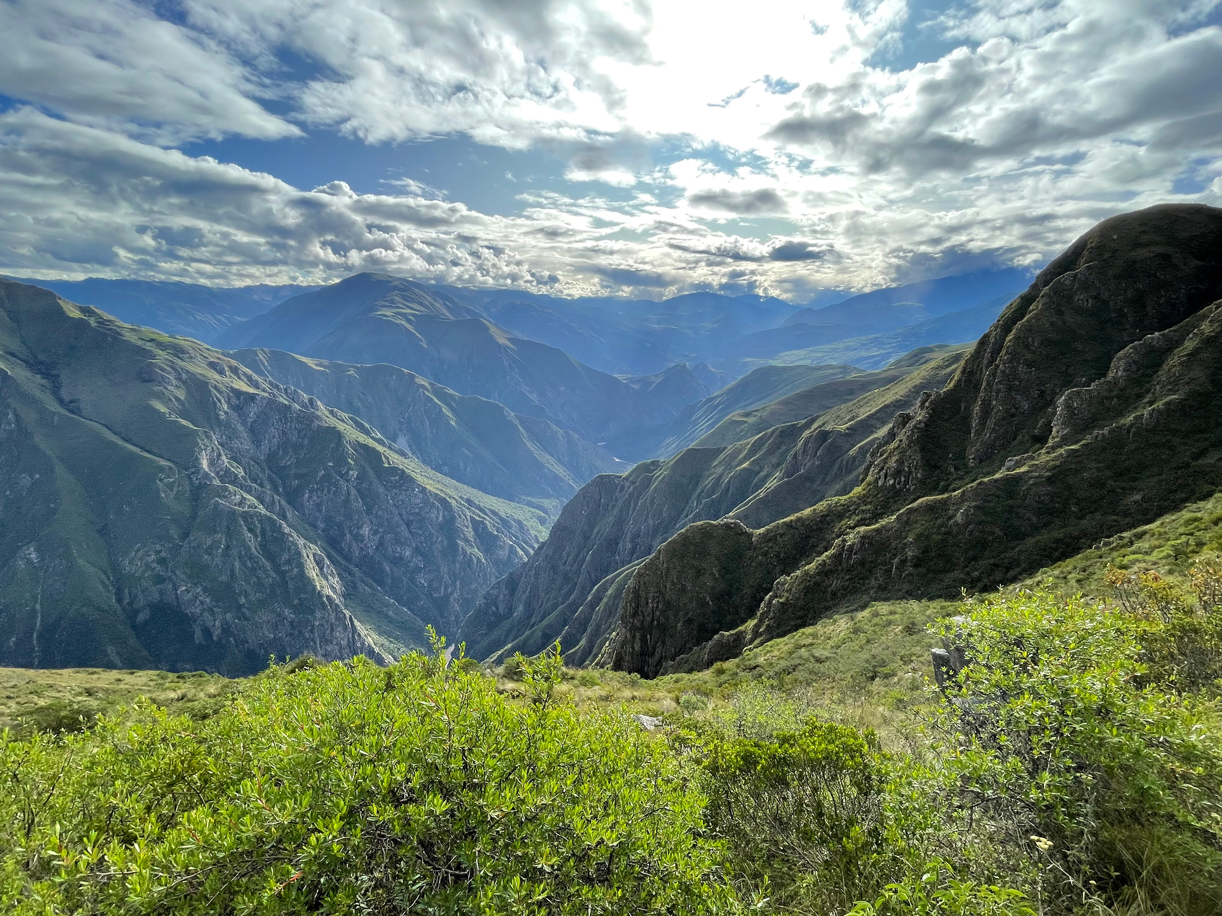 Vista de la naturaleza circundante